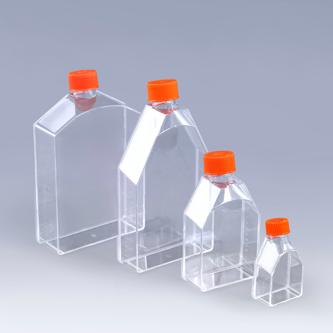 Cell Culture Flask